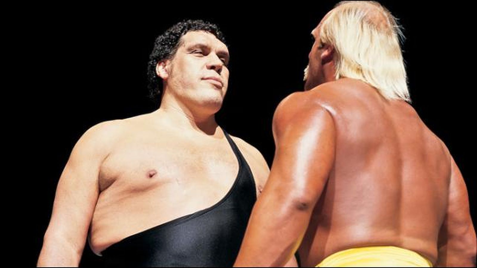 hogan-giant